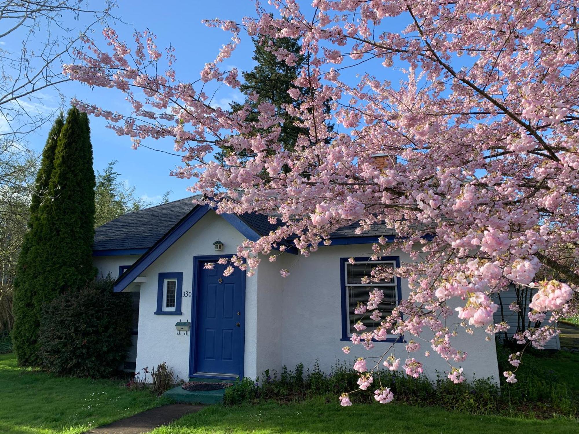 Cherry Tree House Monmouth Экстерьер фото